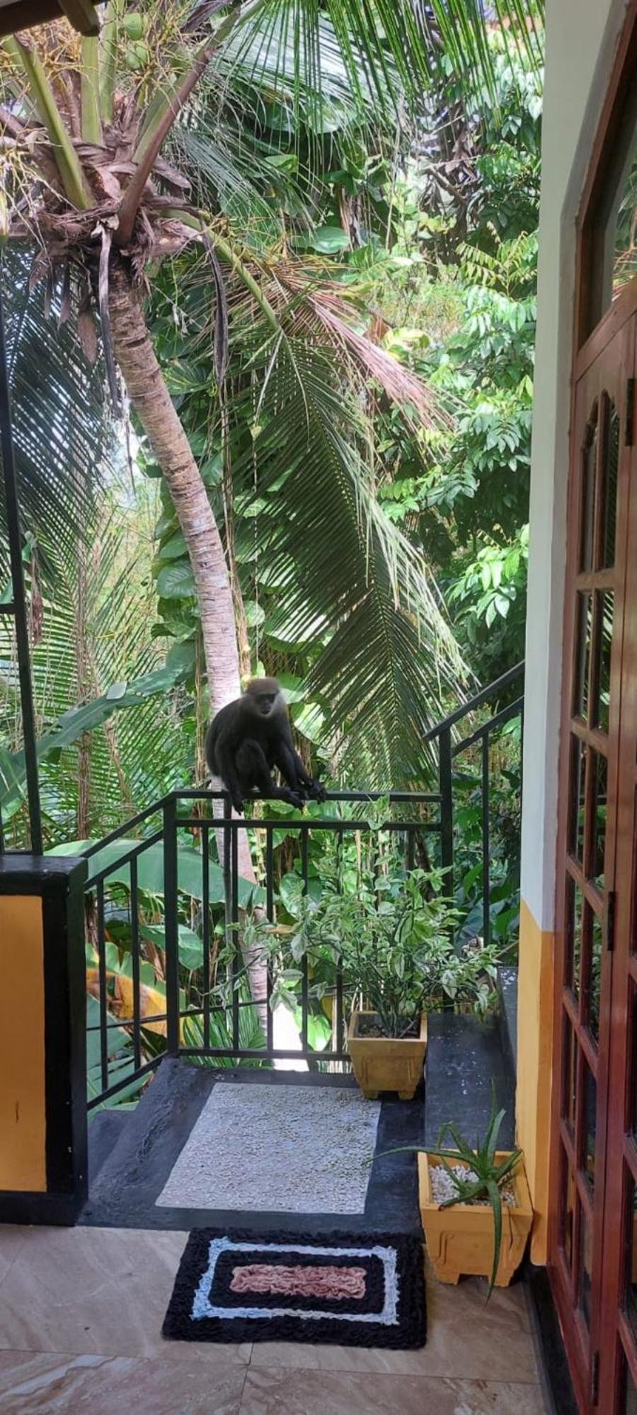 Freedom House Villa Unawatuna Eksteriør bilde